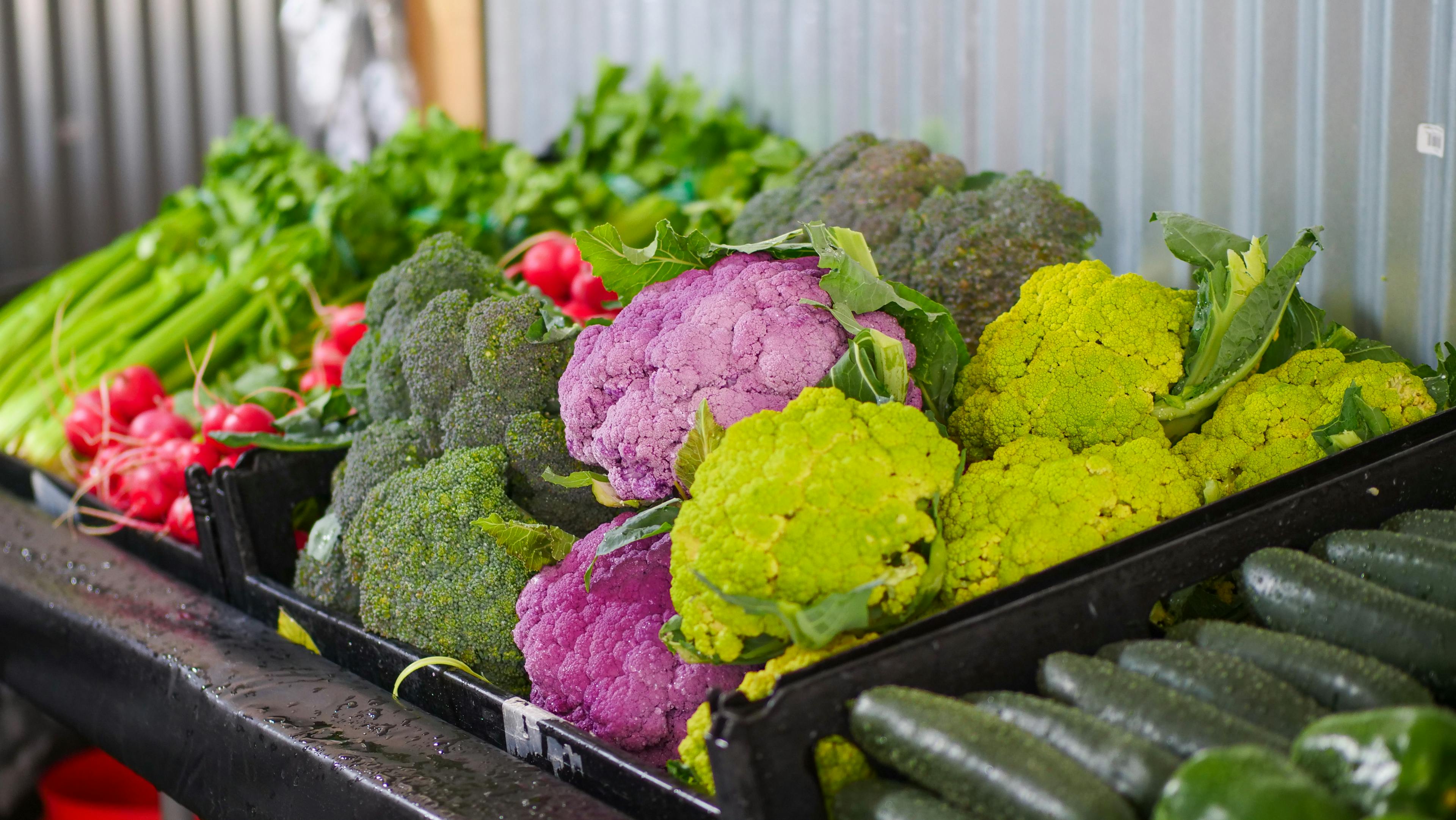 Fresh Vegetables in Black Plastic Crates