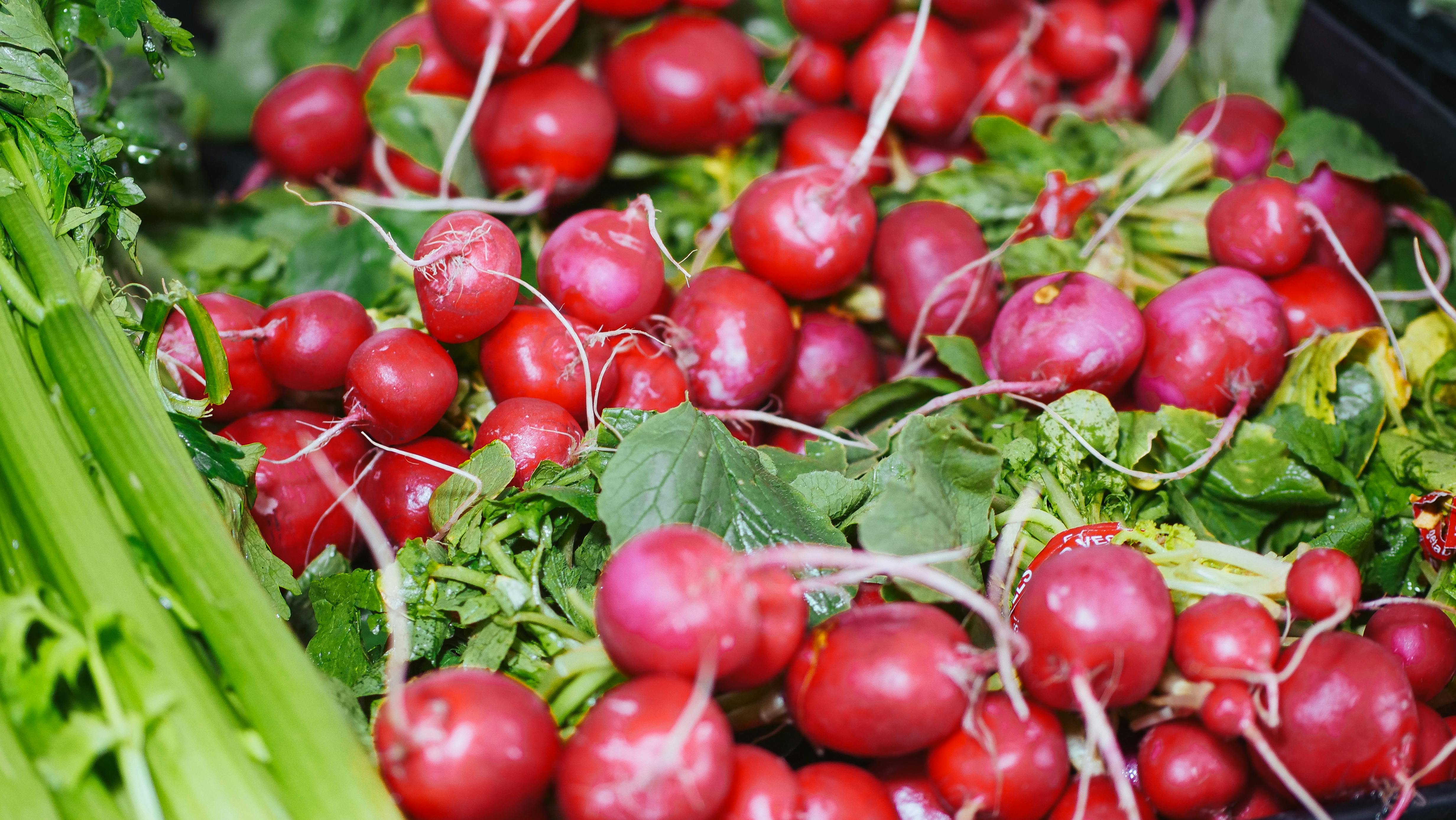 photo of a pile of red radishes