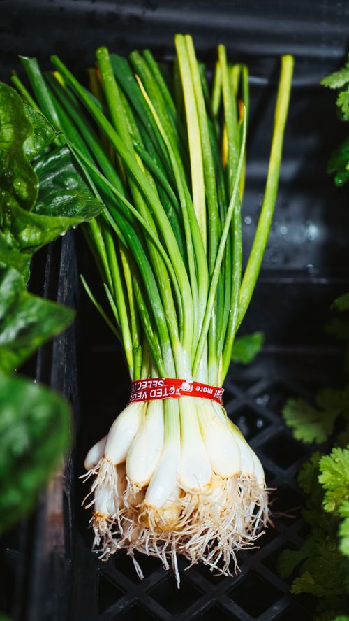 Free Close-up of fresh green scallions on dark background, perfect for culinary use. Stock Photo