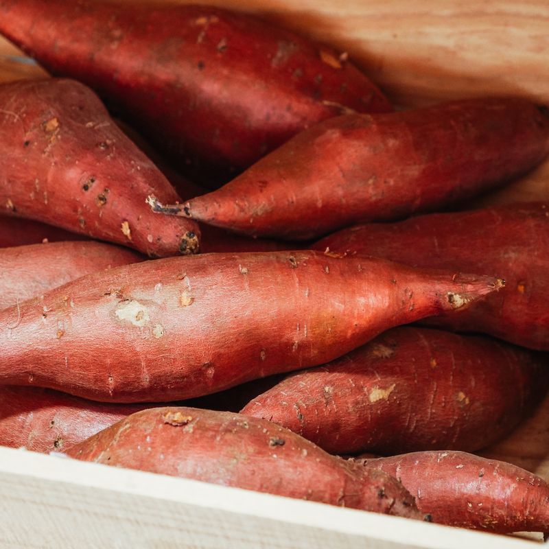 Roasted Boniato and Brown Butter Dip