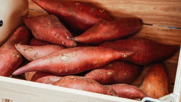 Sweet potatoes stored in a wooden crate