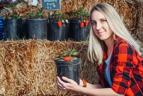 Free A woman in a plaid shirt holds a strawberry plant in an outdoor market, showcasing fresh produce. Stock Photo