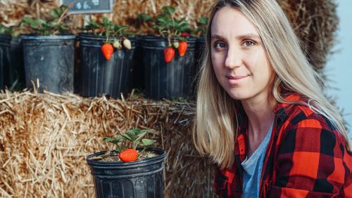 Free A woman in a plaid shirt poses beside strawberry plants in a rustic setting. Stock Photo