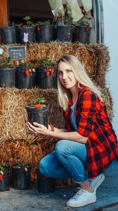 Free Caucasian woman kneeling and holding a potted strawberry plant outside on a sunny day. Stock Photo