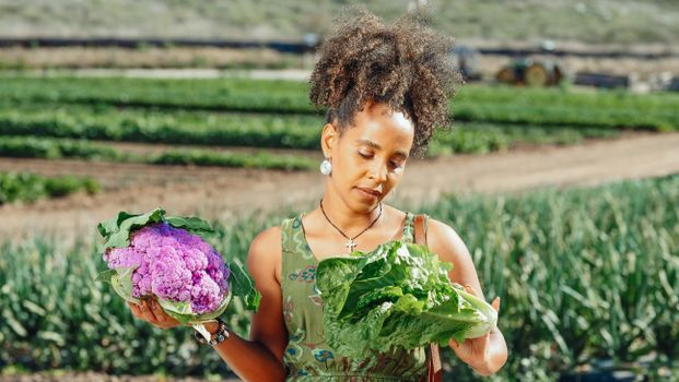 African American woman in farming field holding purple cauliflower and lettuce.