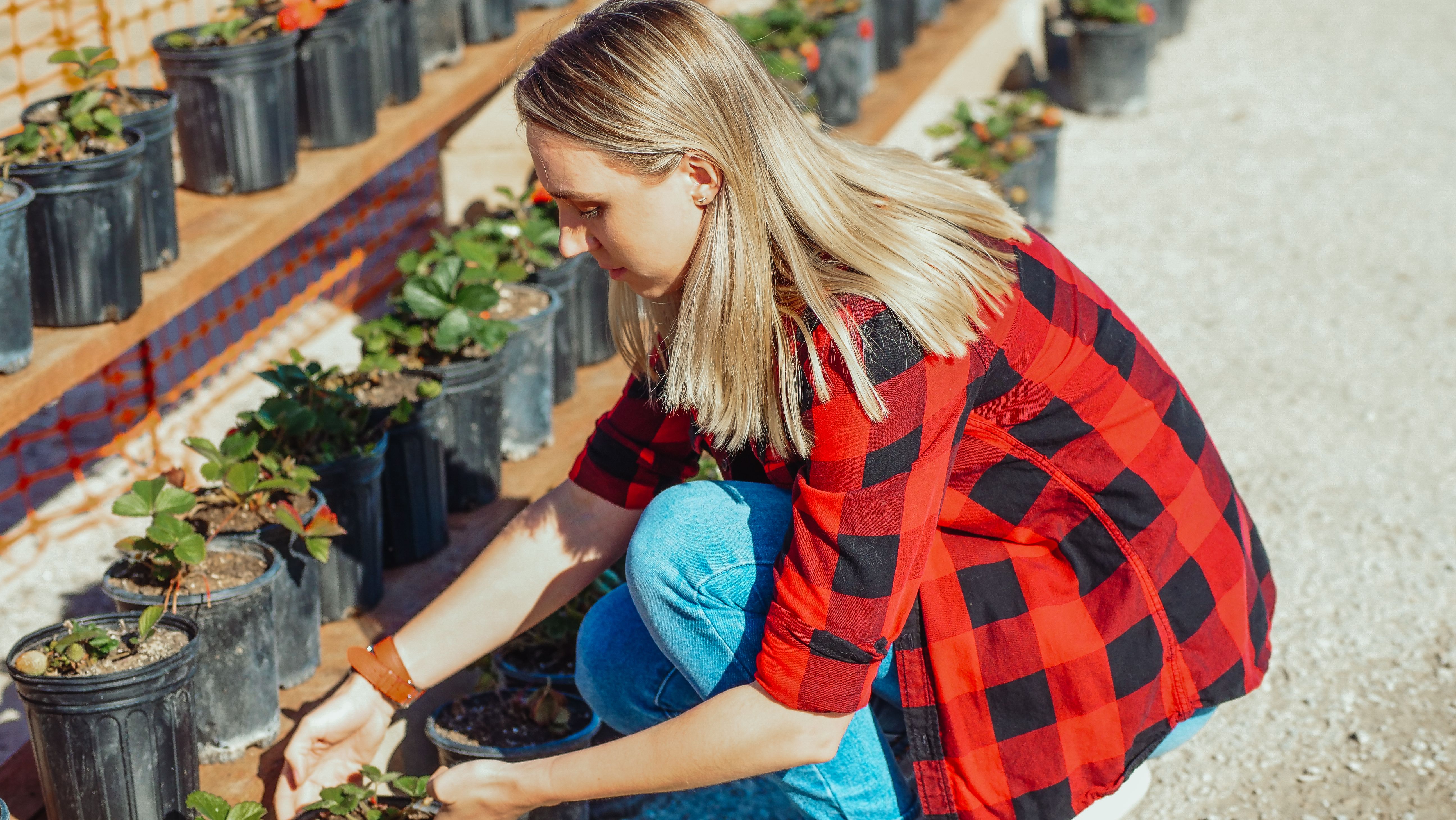 The Gardening Tools That Horticulturalists Swear By | Reviews by Wirecutter — Photo by Kindel Media on Pexels
