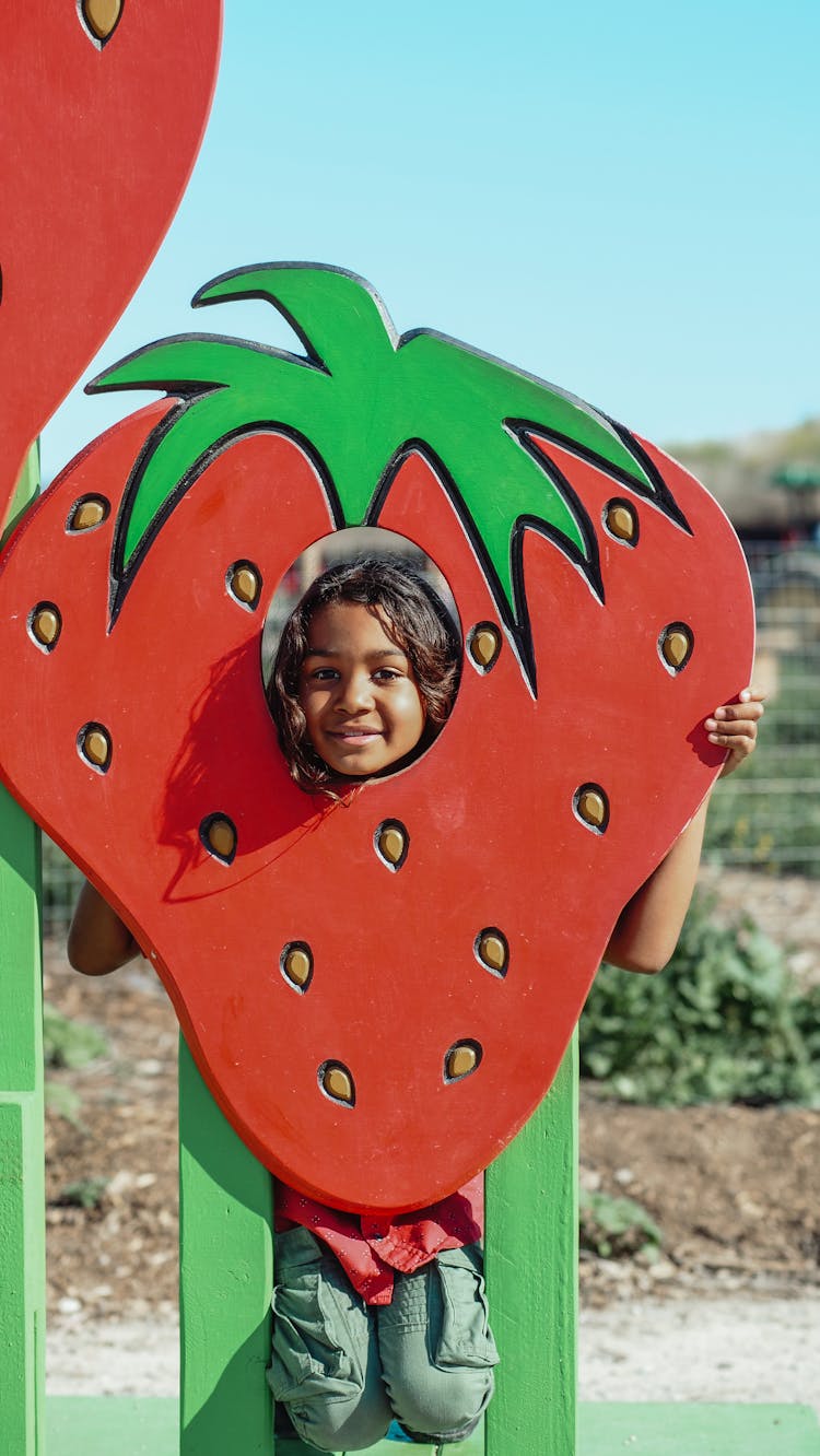 A Young Boy In Strawberry Farm