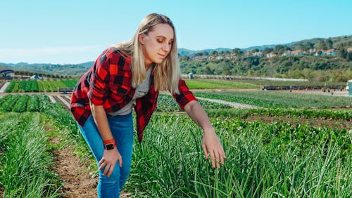 Free Woman in Red and Black Plaid Long Sleeve Shirt Standing on Green Grass Field Stock Photo