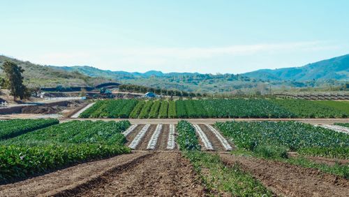 Free Expansive farmland with greenery and mountains in the distance under a clear sky. Stock Photo