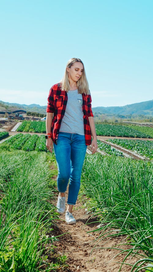 Blonde Woman Walking on the Cropland 