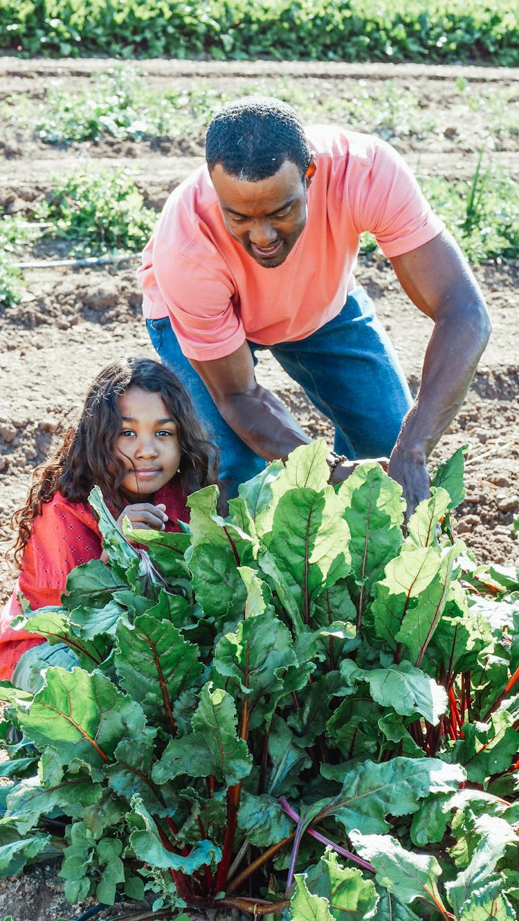 Black Farmer With Daughter Against Beet Plant In Countryside