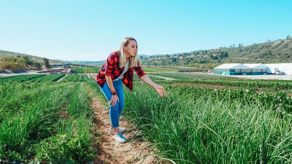 pexels photo 7457023 Fieldwork and Finances: Understanding the Crop Insurance Adjuster Role Explore the role of a crop insurance adjuster: responsibilities, job outlook, and career prospects in the growing industry. Field Inspection - crop insurance adjuster