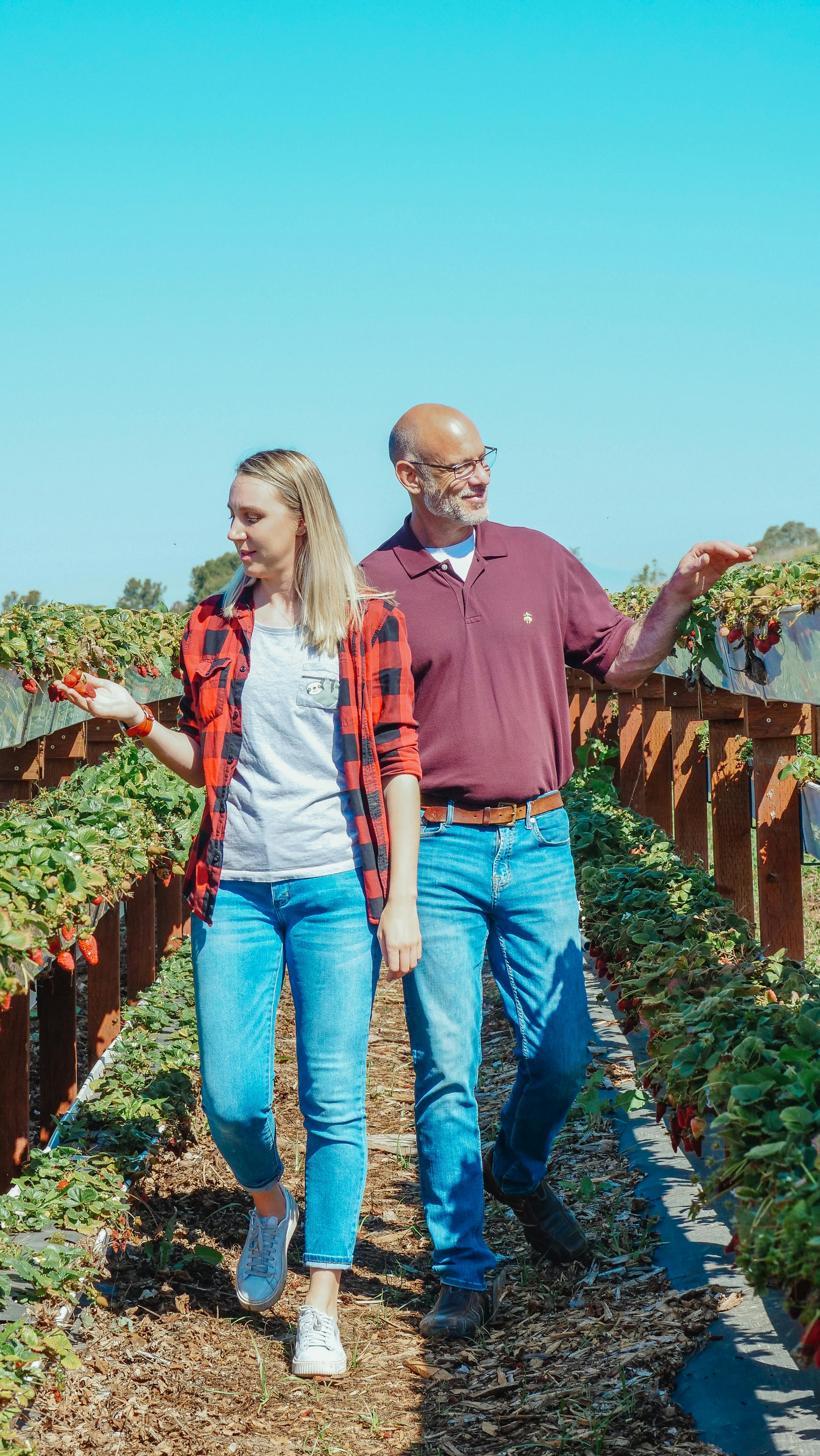 couple walking through a farm of fruit bearing plants