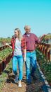 Free stock photo of agricultural, agriculture, batch
