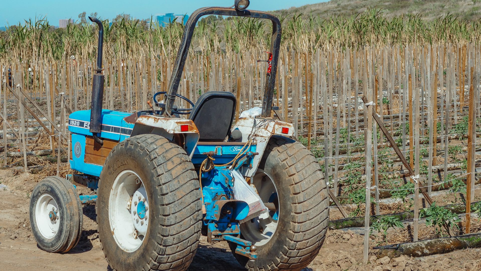 Blue Tractor on a Farmland