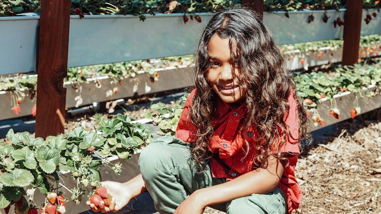 A Girl Holding Strawberries