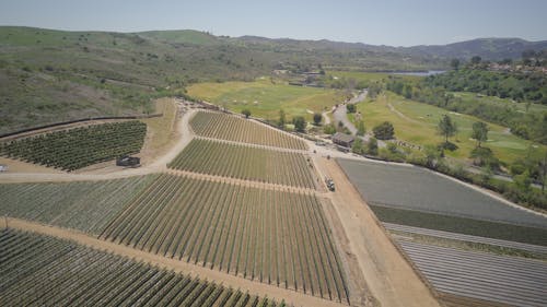 Aerial Photography of Agricultural Field