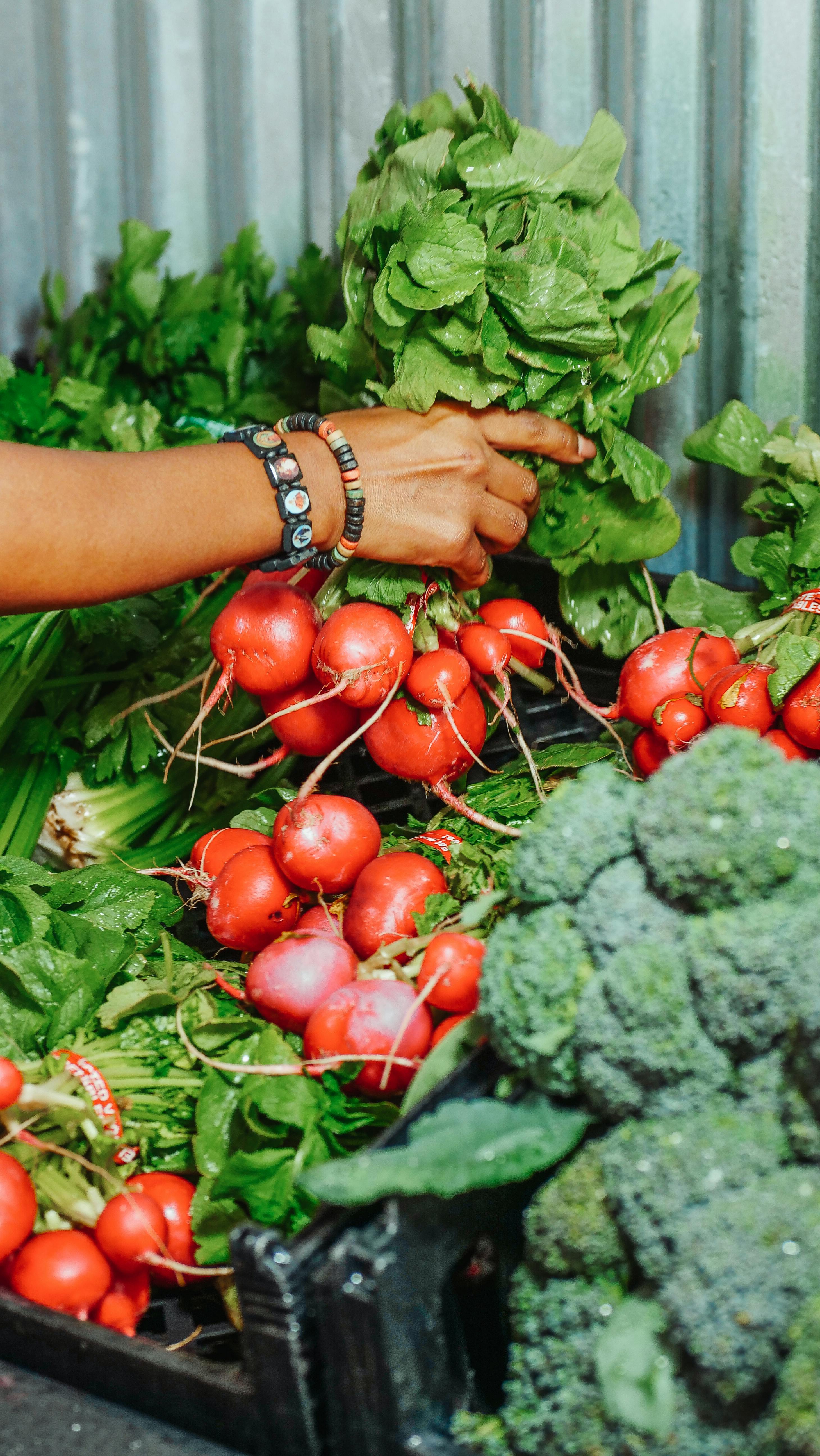 Hands holding fresh vegetables