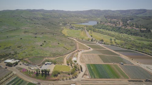 Fotos de stock gratuitas de agricultura, foto con dron, fotografía aérea