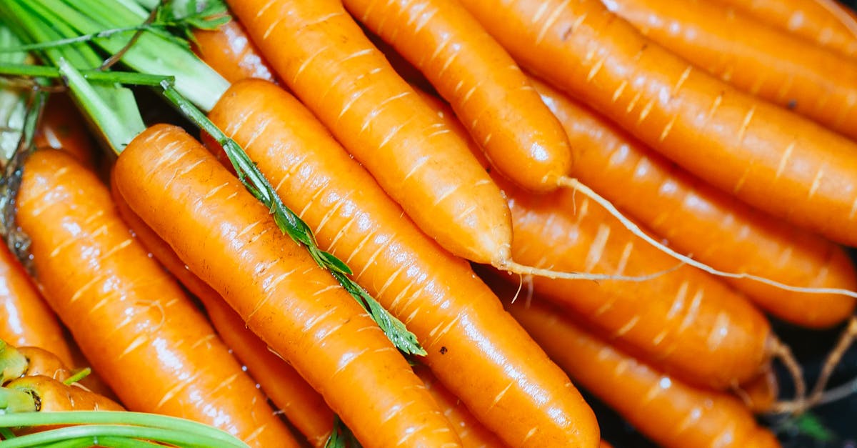 產業 食 力全開 2025台北國際食品系列展下週登場 攜手共創食品產業新浪潮