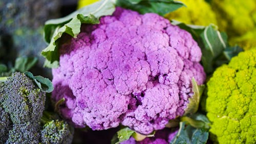 Free Close Up Photo of Purple Cauliflower Vegetable Stock Photo