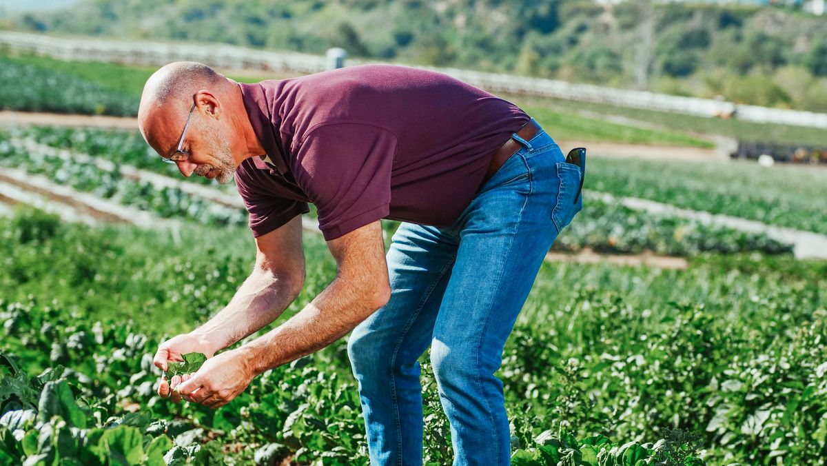 Jóvenes agricultores