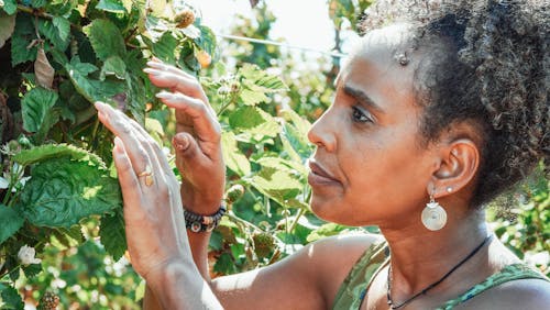 Kostnadsfri bild av afrikansk amerikan kvinna, anläggning, kvinna