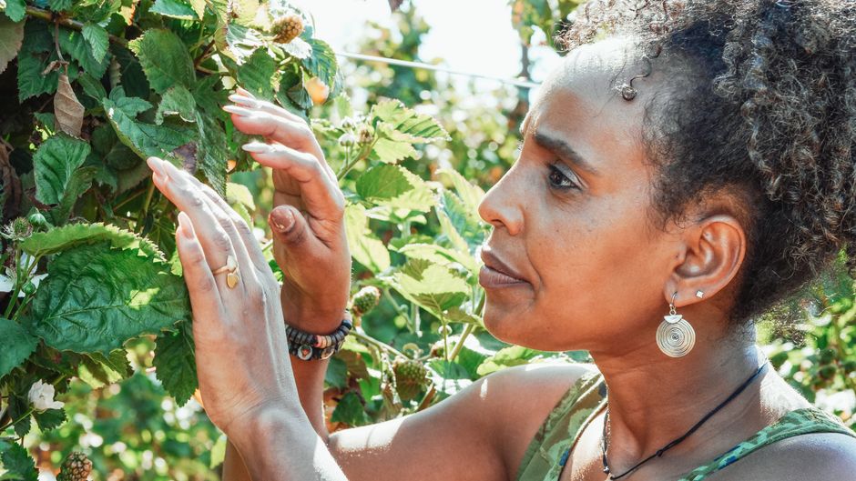 When Your Garden Veggies Just Won't Grow: Unusual Fixes