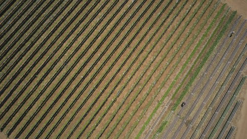 Бесплатное стоковое фото с Аэрофотосъемка, сельское хозяйство, сельскохозяйственные угодья