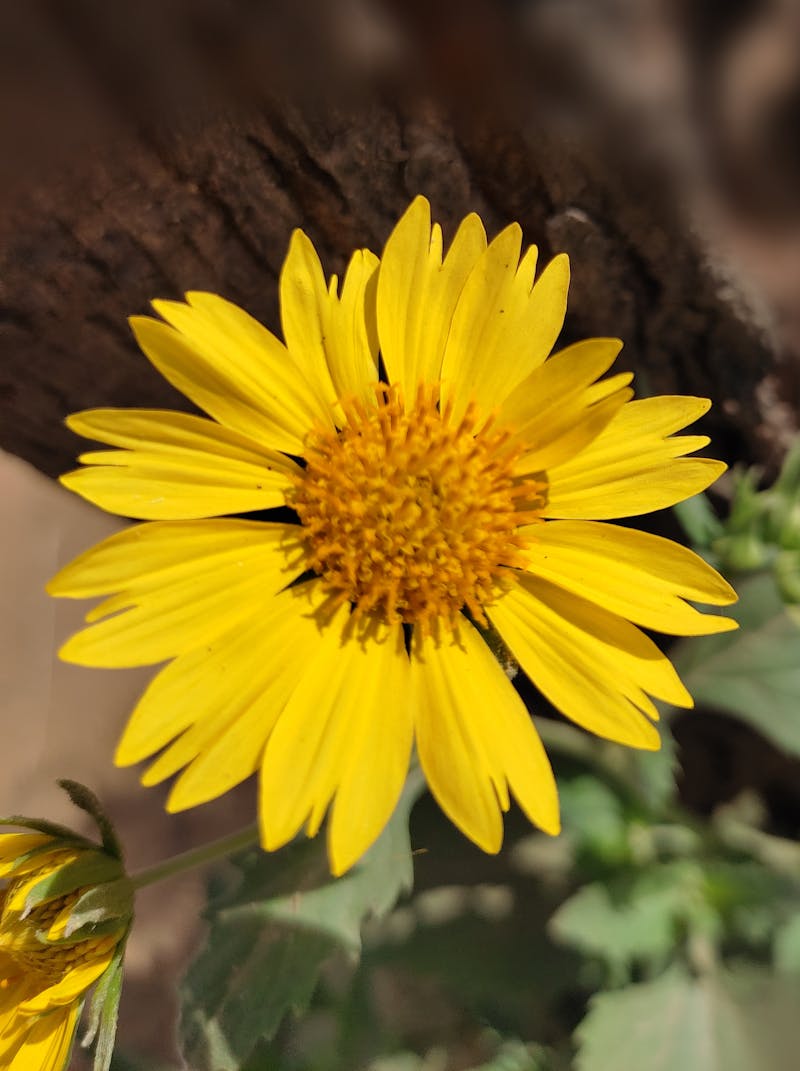 بروشور تعريفي