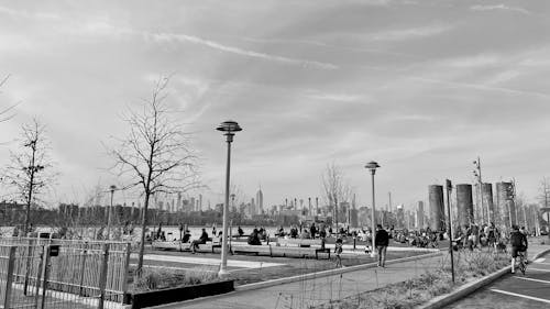 Free stock photo of brooklyn, domino park, people