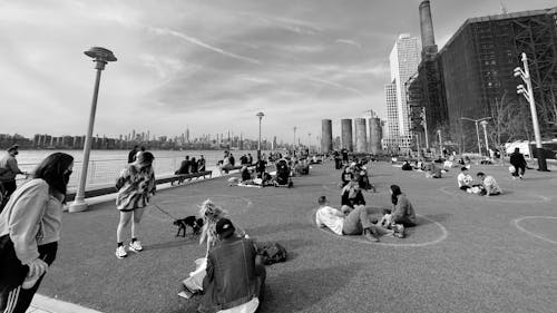 Free stock photo of city park, friends, park