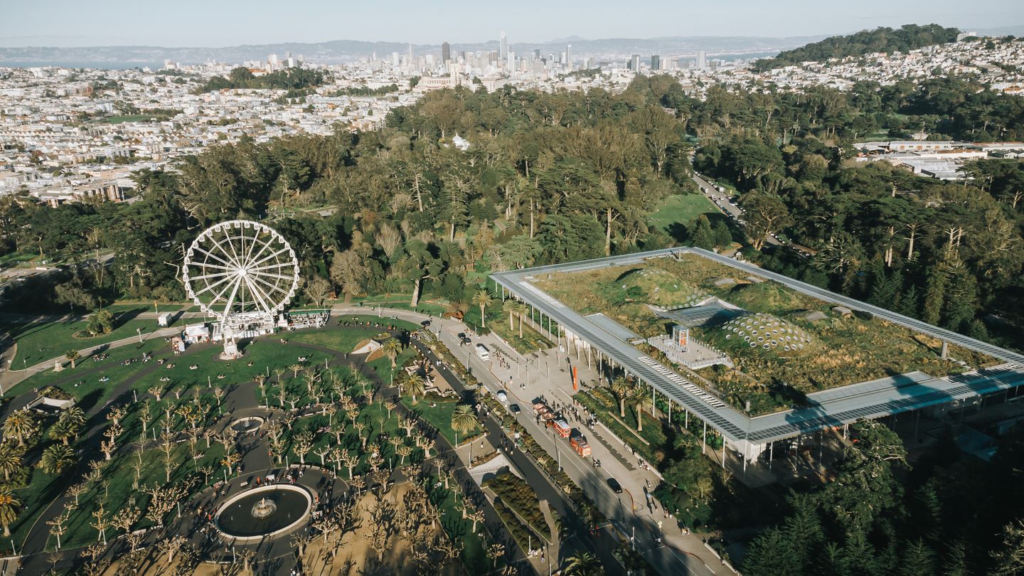 Aerial view of Golden Gate Park's Music Concourse, with the California Academy of Sciences' green living roof beside it