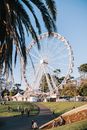 White Ferris Wheel Under Blue Sky