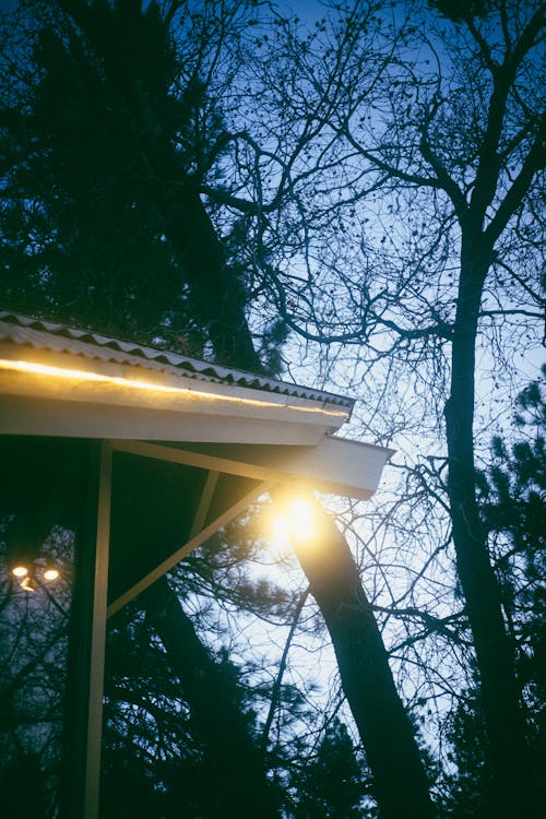 Free House roof with shiny lamps against high trees Stock Photo