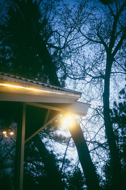 Low angle of building roof with bright lights against overgrown trees with wavy twigs in evening