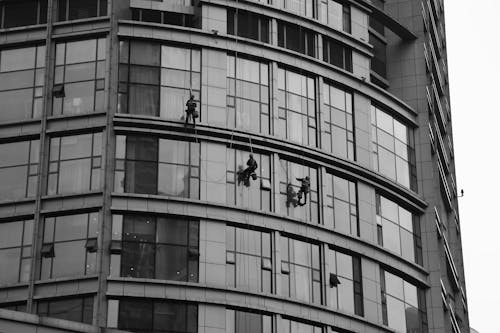 Free People Hanging on the Building while Cleaning the Glass Windows Stock Photo