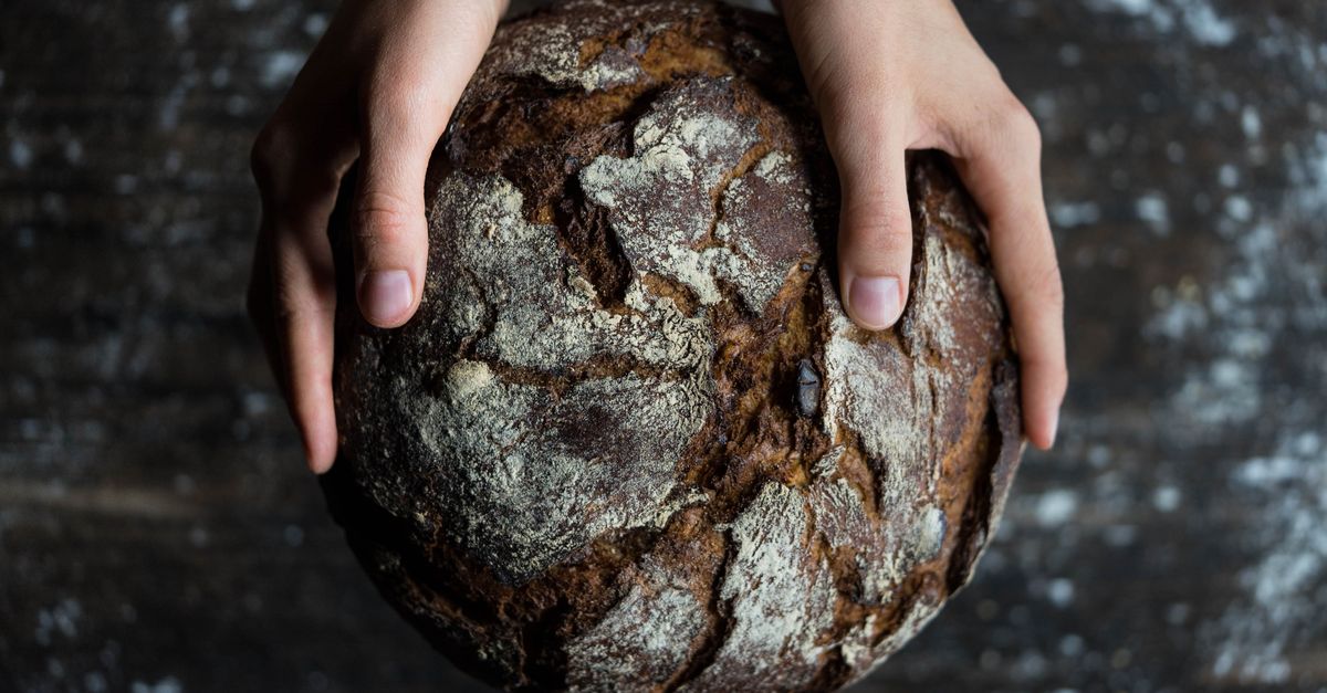 hands shaping a round sourdough boule on a floured surface