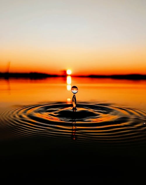 Free Water Drop on Water during Sunrise Stock Photo