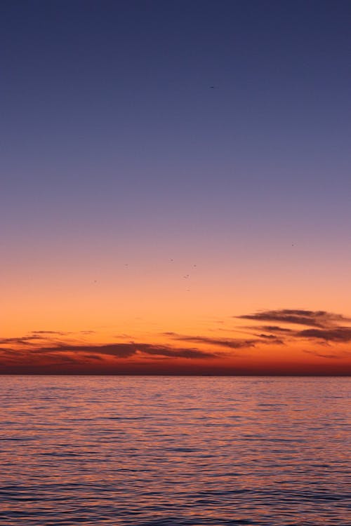 Бесплатное стоковое фото с вертикальный выстрел, восход, горизонт