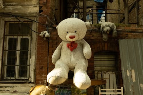 Free A Stuffed Animal Hanged on a Wall Stock Photo