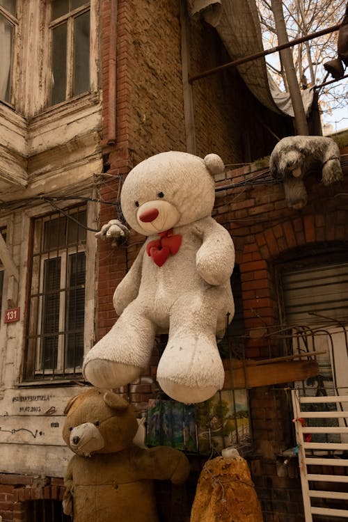 A Stuffed Animal Hanged on a Wall · Free Stock Photo