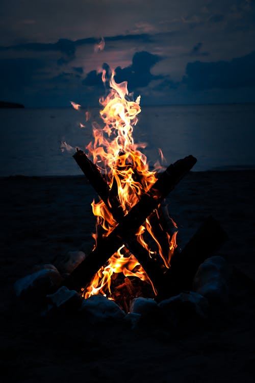 Campfire on Beach Shore