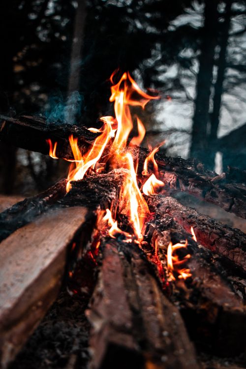 Free Close-up of a campfire with vibrant flames in a forest setting, creating a warm atmosphere. Stock Photo