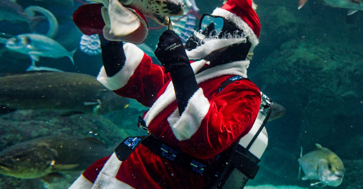 Free stock photo of aquarium, christmas, fun
