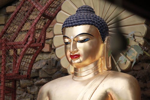 Gratis arkivbilde med buddha, nærbilde, religiøs