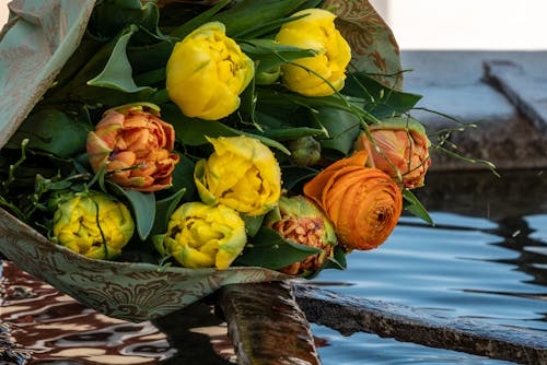 Kostnadsfri bild av blomfotografi, blommor, bukett