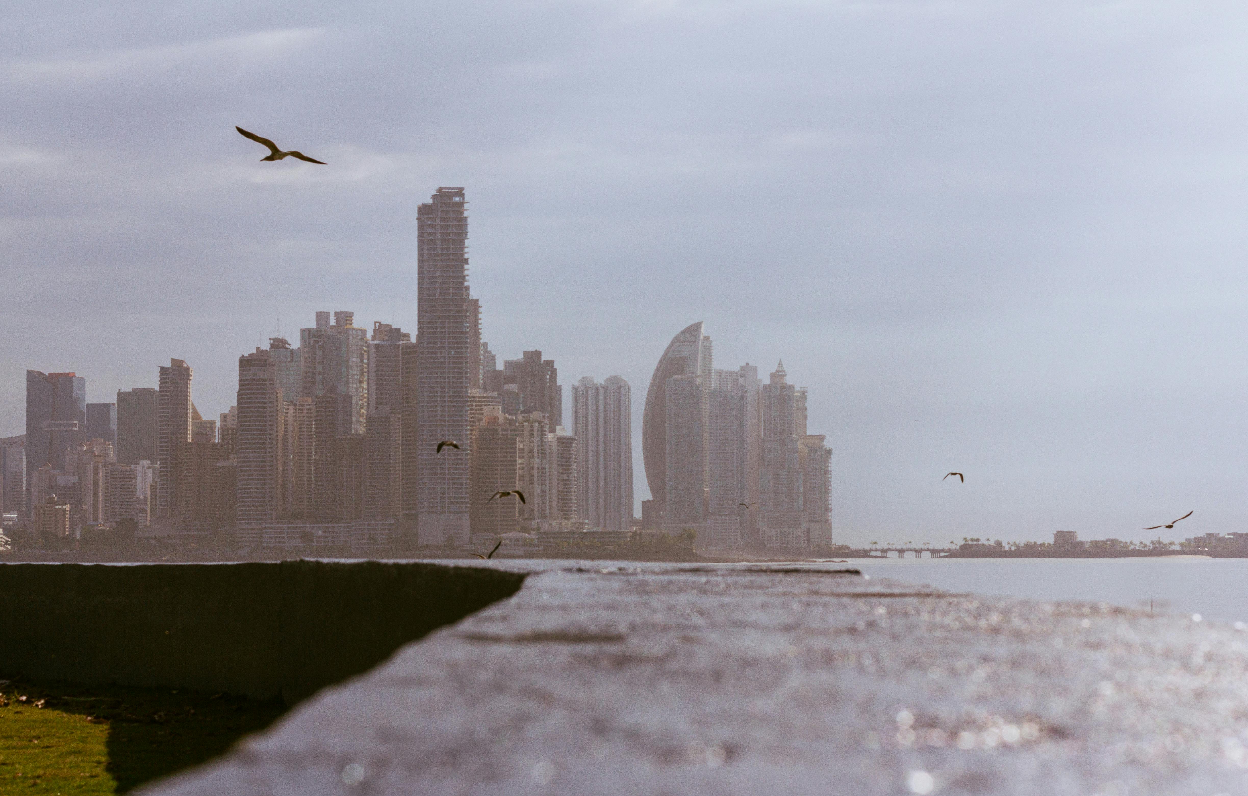 Port Panama City begins search for new executive director — Photo by Neron Photos on Pexels