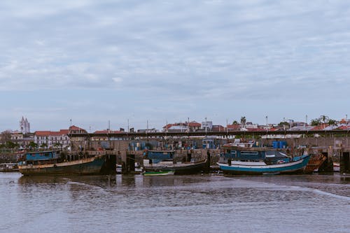 Darmowe zdjęcie z galerii z dok, łodzie rybackie, niebo