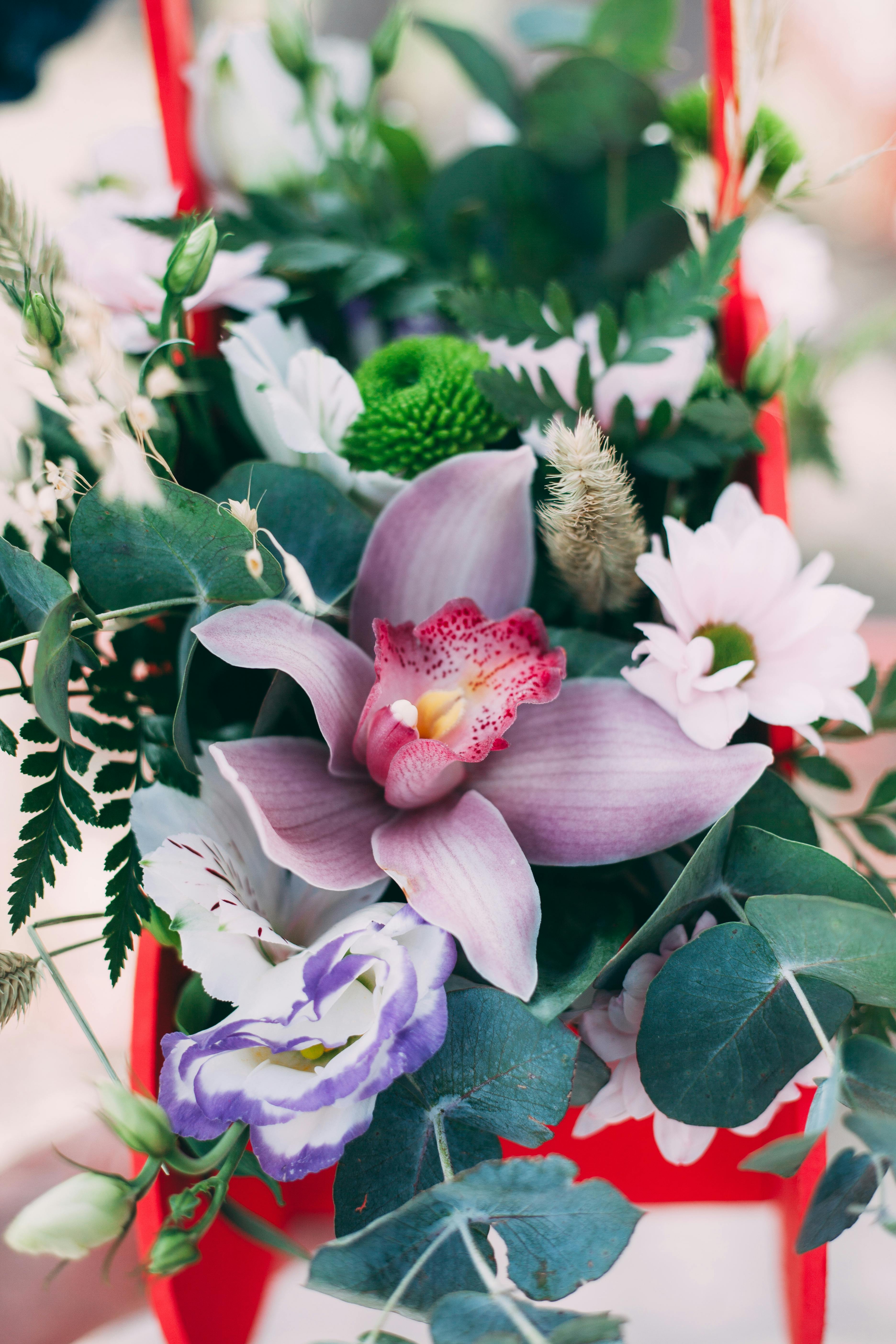 [ColoSach]-beautiful-close-up-of-a-vibrant-floral-bouquet-featuring-a-stunning-pink-orchid-and-greenery.